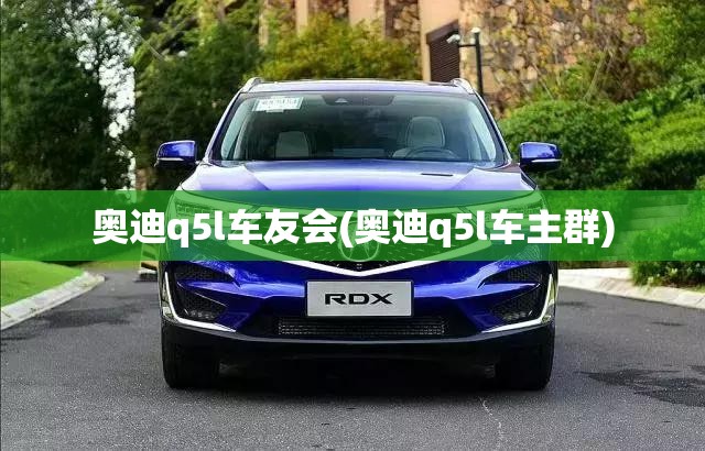 奥迪q5l车友会(奥迪q5l车主群)