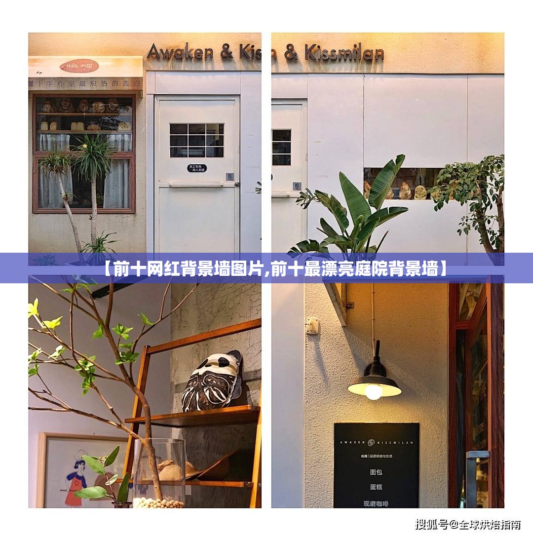 【前十网红背景墙图片,前十最漂亮庭院背景墙】