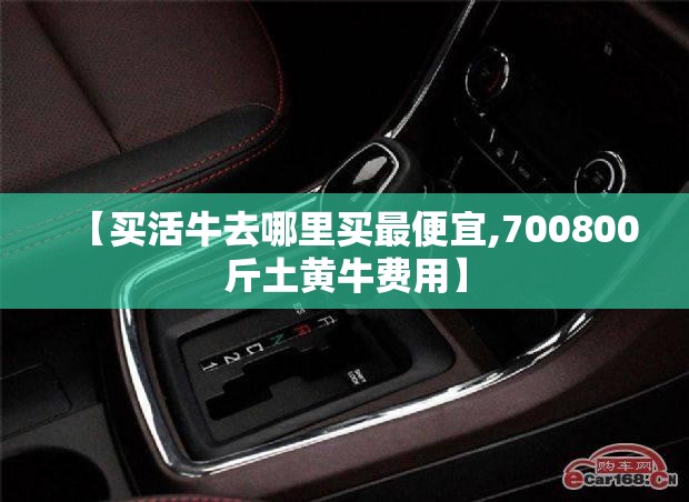 【买活牛去哪里买最便宜,700800斤土黄牛费用】