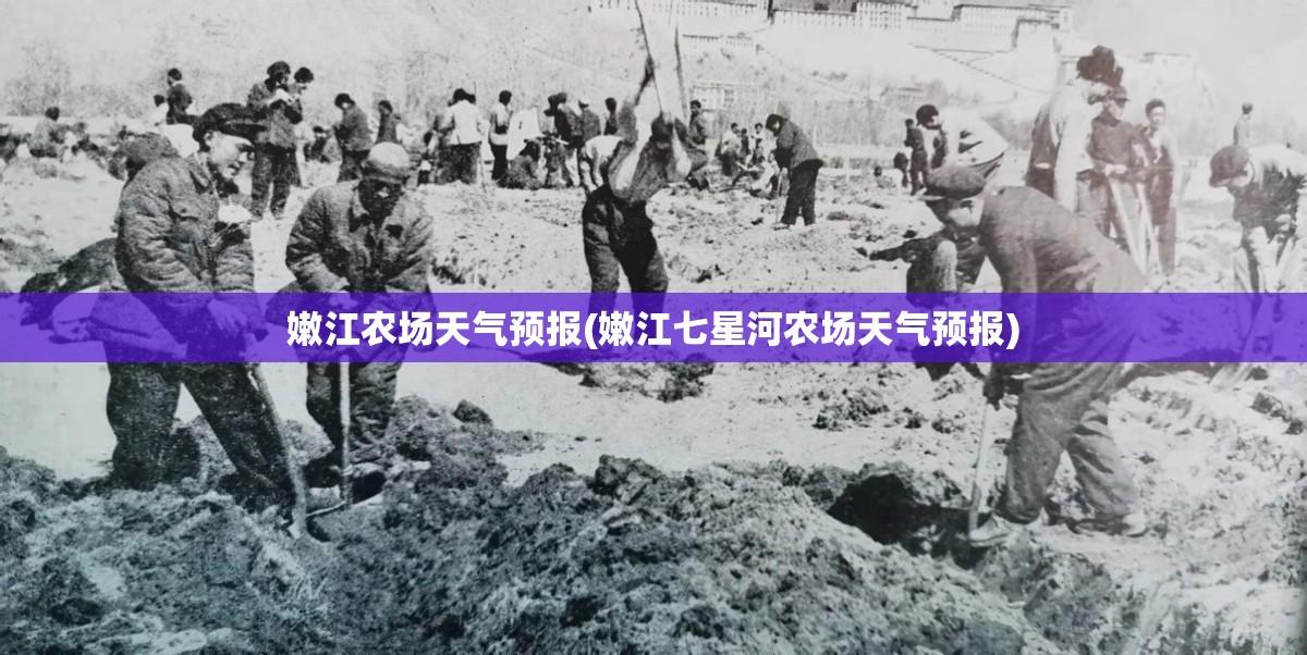 嫩江农场天气预报(嫩江七星河农场天气预报)