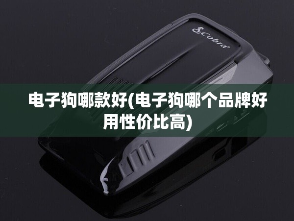 电子狗哪款好(电子狗哪个品牌好用性价比高)