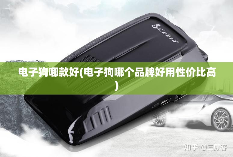 电子狗哪款好(电子狗哪个品牌好用性价比高)