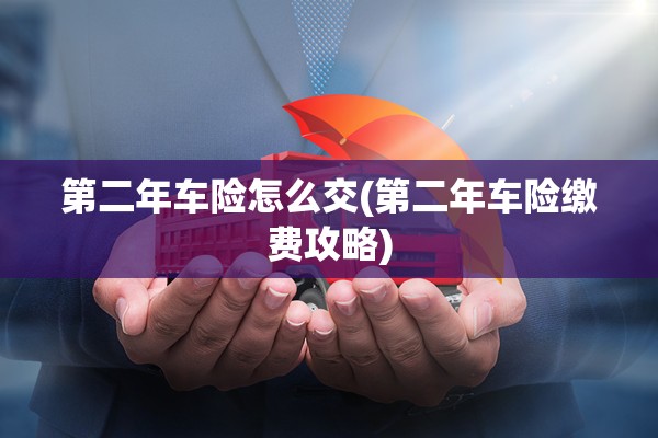 第二年车险怎么交(第二年车险缴费攻略)