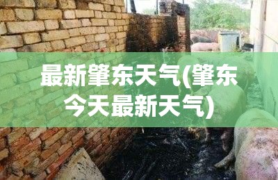 最新肇东天气(肇东今天最新天气)