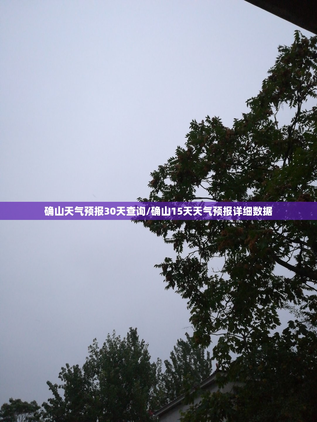 确山天气预报30天查询/确山15天天气预报详细数据