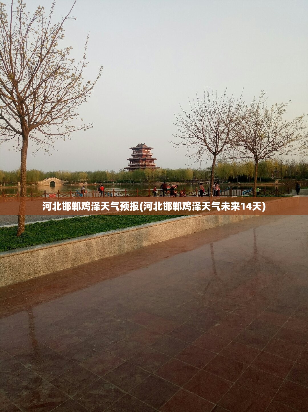 河北邯郸鸡泽天气预报(河北邯郸鸡泽天气未来14天)