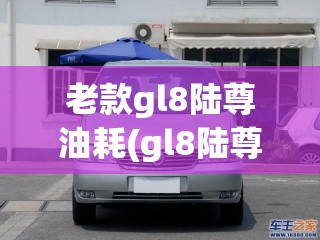老款gl8陆尊油耗(gl8陆尊2006款油耗)