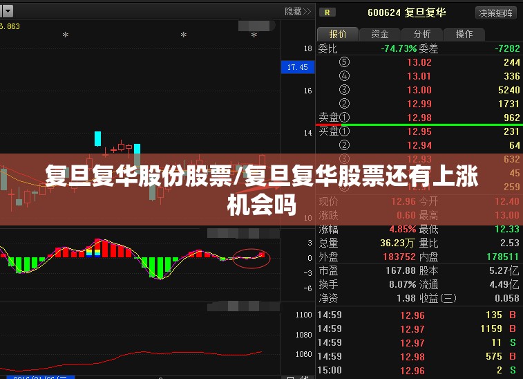 复旦复华股份股票/复旦复华股票还有上涨机会吗