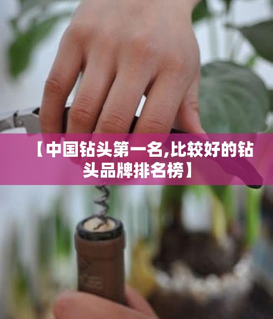 【中国钻头第一名,比较好的钻头品牌排名榜】