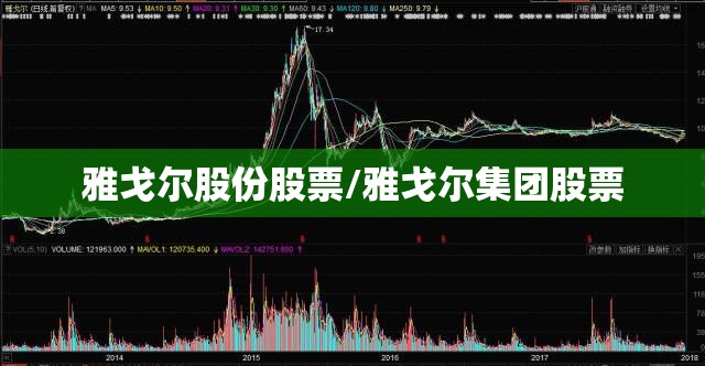 雅戈尔股份股票/雅戈尔集团股票