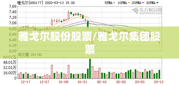 雅戈尔股份股票/雅戈尔集团股票
