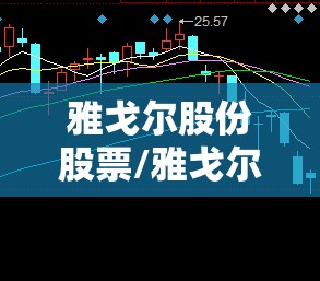 雅戈尔股份股票/雅戈尔集团股票