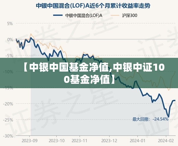 【中银中国基金净值,中银中证100基金净值】