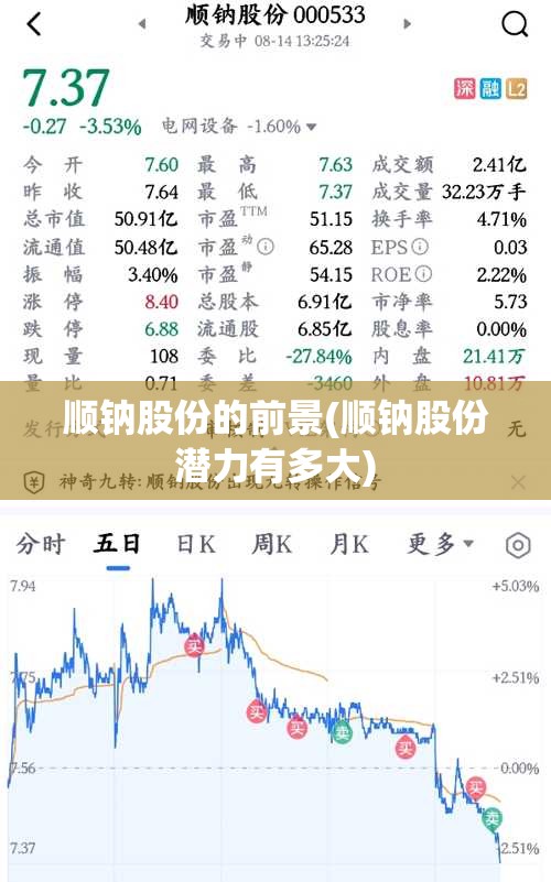 顺钠股份的前景(顺钠股份潜力有多大)