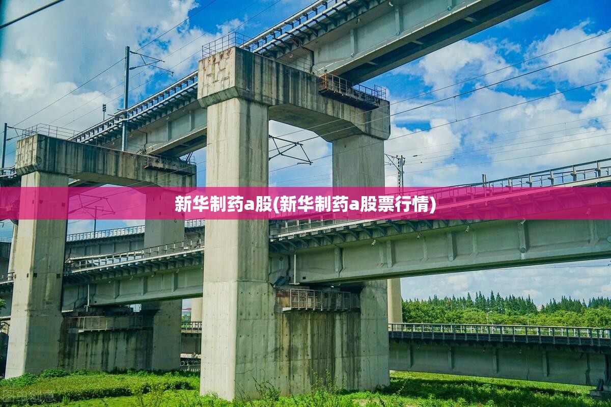新华制药a股(新华制药a股票行情)