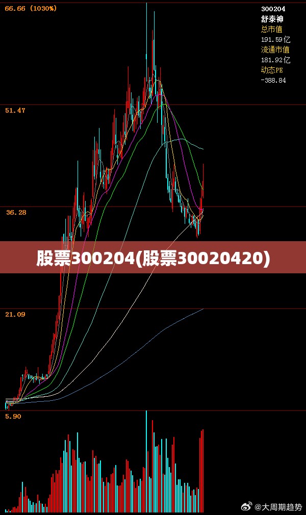 股票300204(股票30020420)