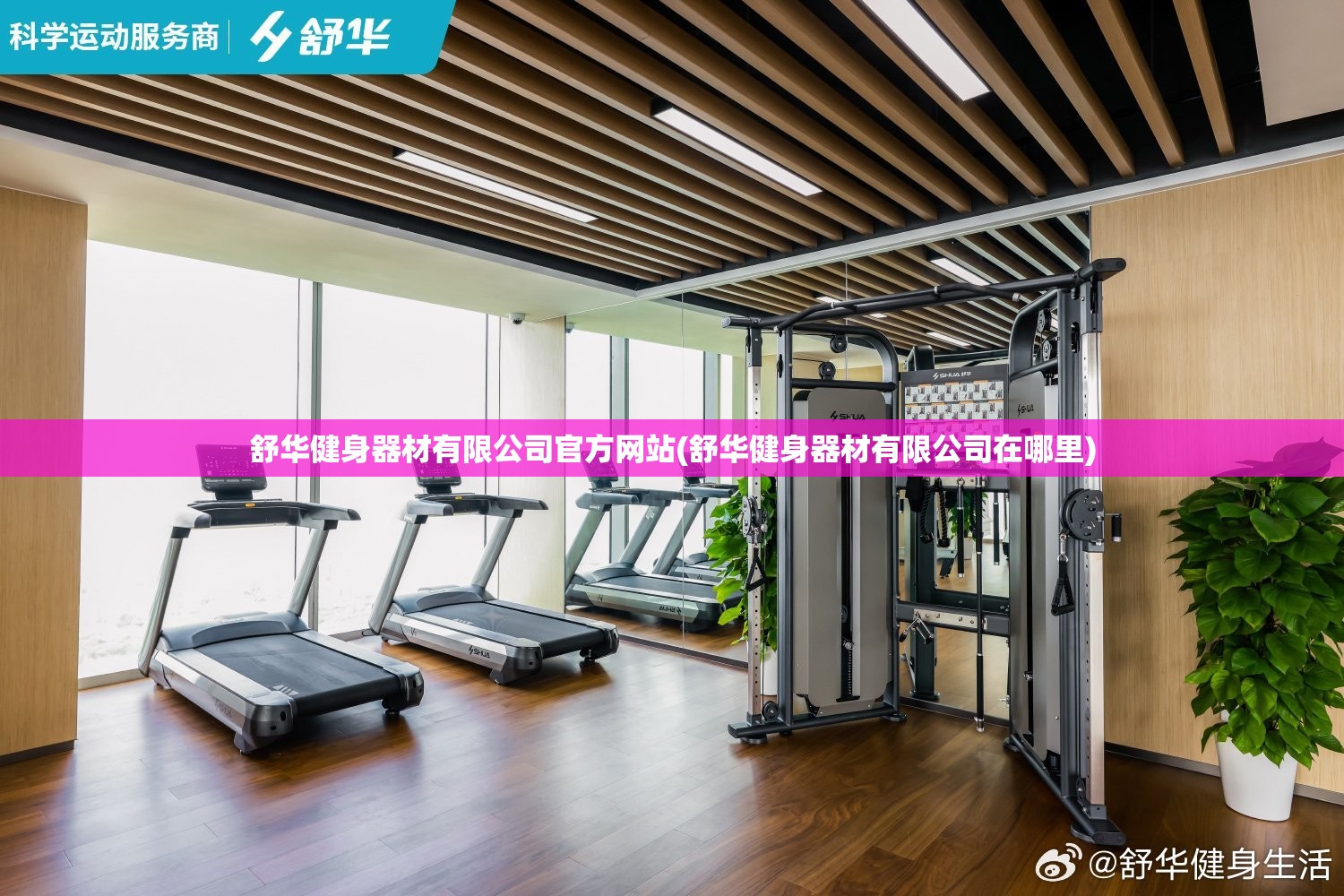 舒华健身器材有限公司官方网站(舒华健身器材有限公司在哪里)