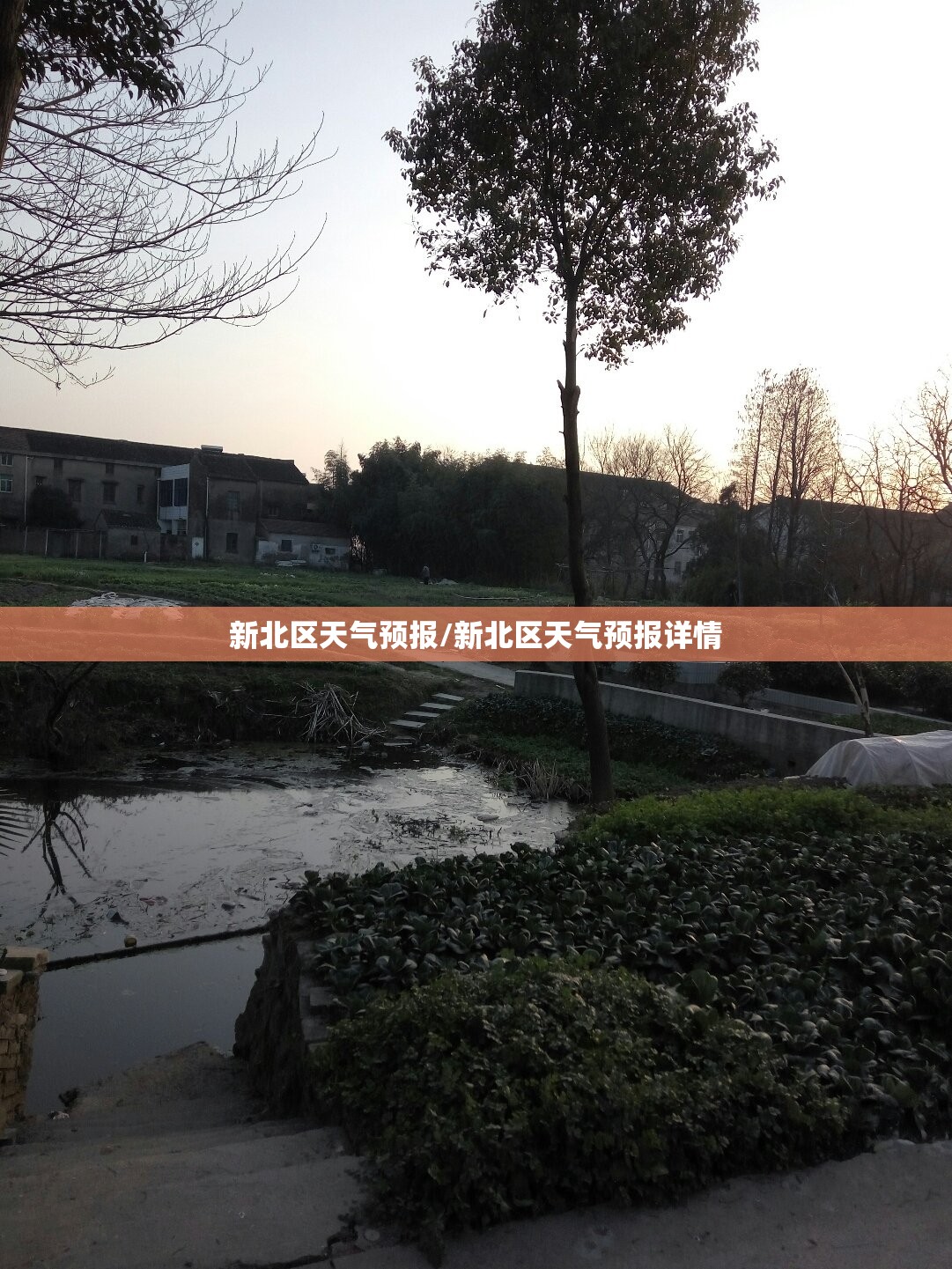 新北区天气预报/新北区天气预报详情