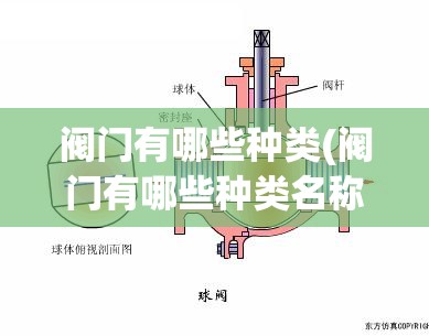 阀门有哪些种类(阀门有哪些种类名称)