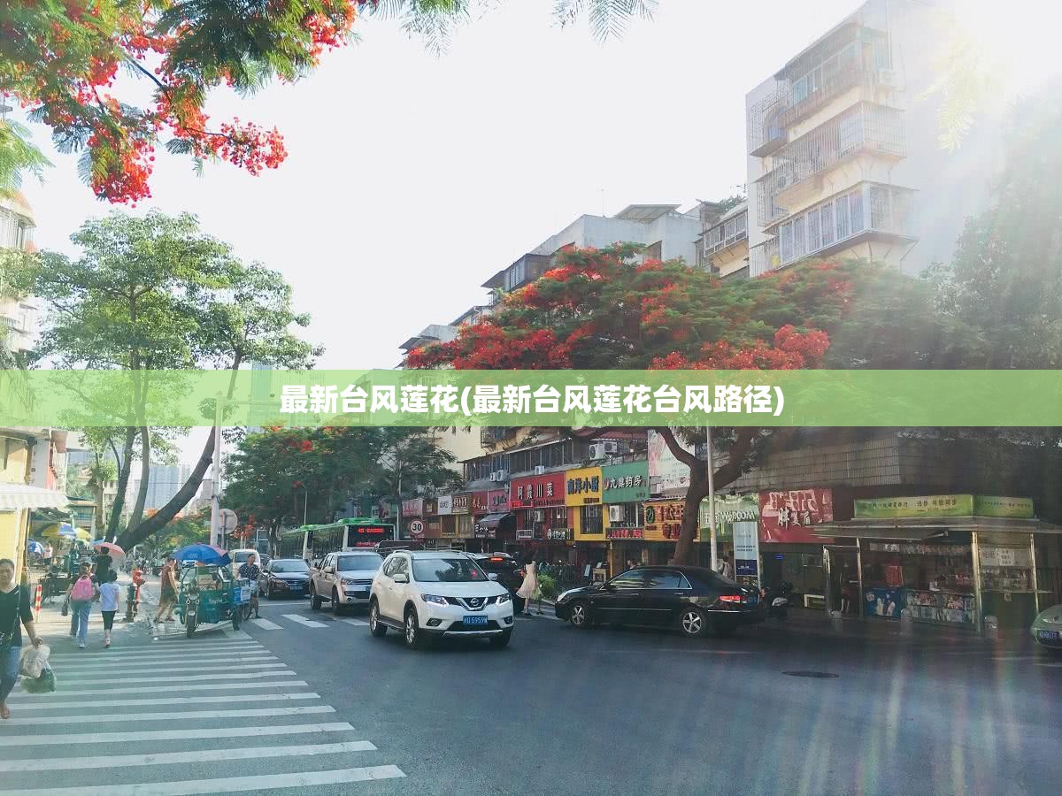 最新台风莲花(最新台风莲花台风路径)