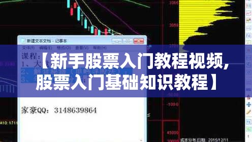 【新手股票入门教程视频,股票入门基础知识教程】 【新手股票入门教程视频,股票入门基础知识教程】