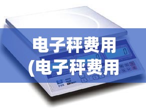 电子秤费用(电子秤费用表一览)