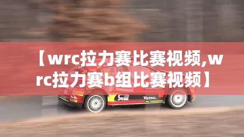 【wrc拉力赛比赛视频,wrc拉力赛b组比赛视频】