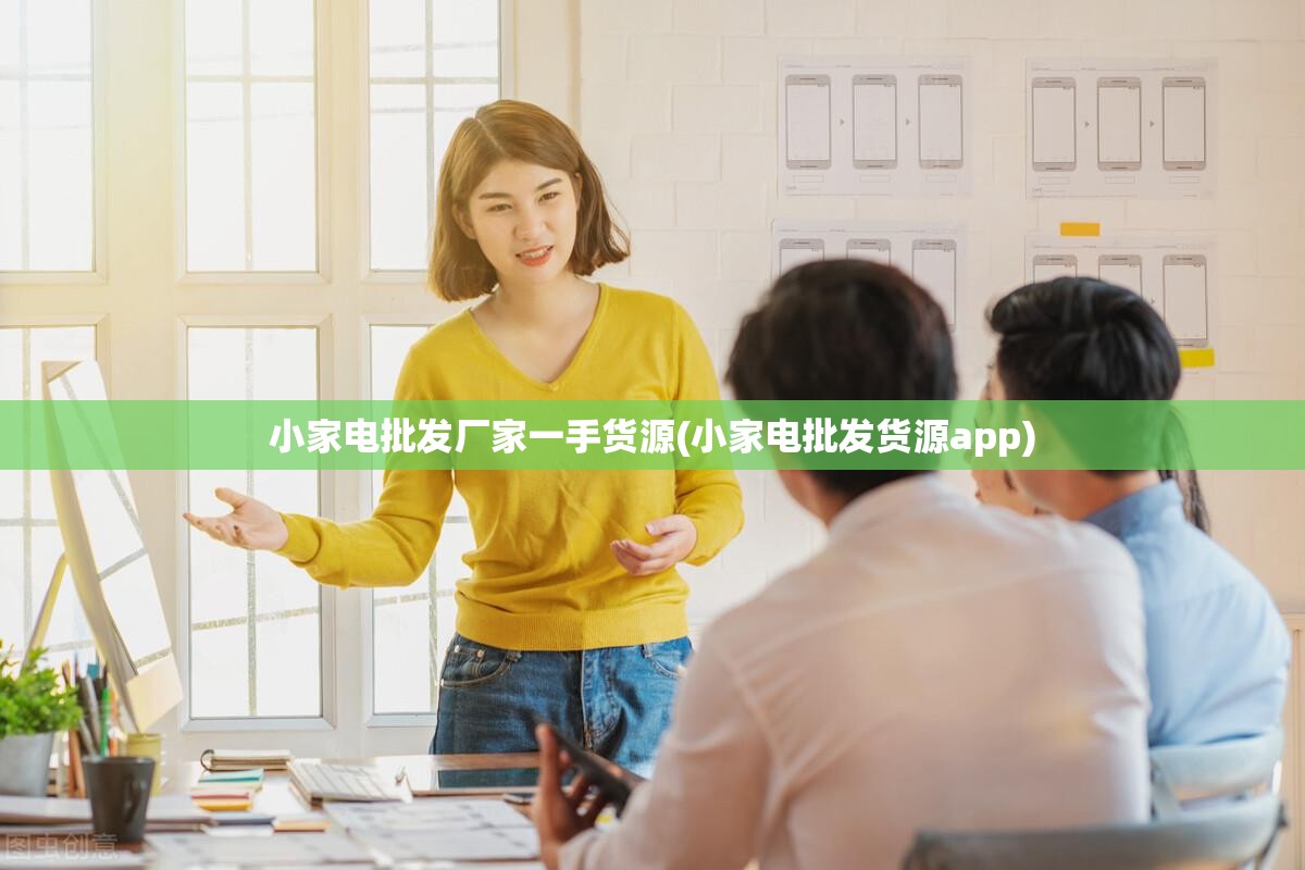 小家电批发厂家一手货源(小家电批发货源app)