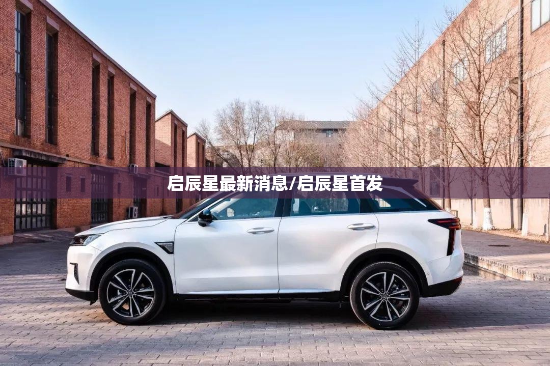 启辰星最新消息/启辰星首发 启辰星最新消息/启辰星首发