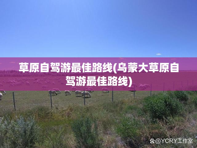 草原自驾游最佳路线(乌蒙大草原自驾游最佳路线)