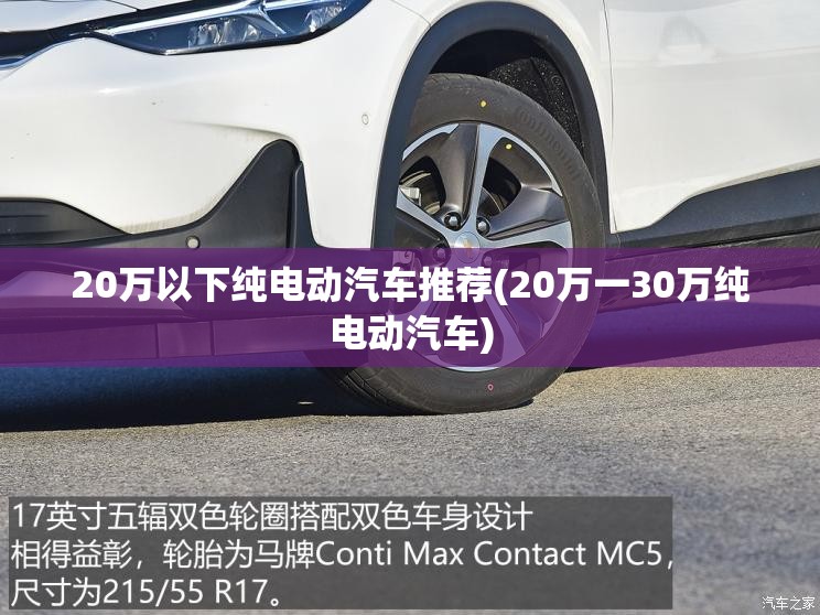 20万以下纯电动汽车推荐(20万一30万纯电动汽车)