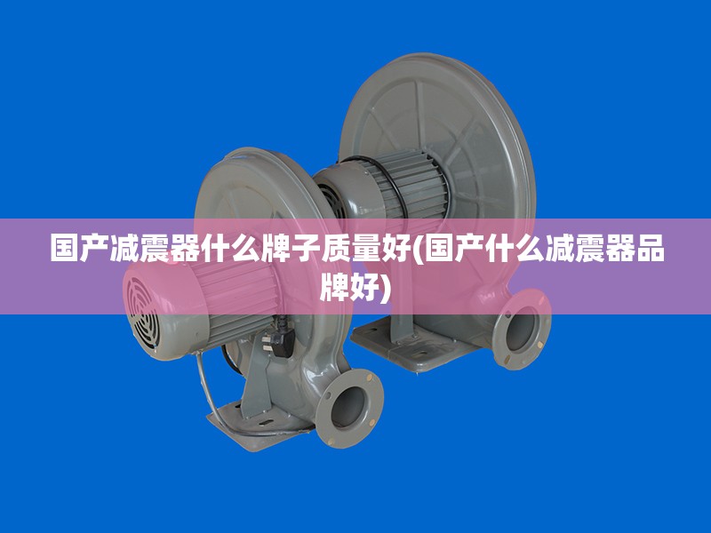 国产减震器什么牌子质量好(国产什么减震器品牌好)