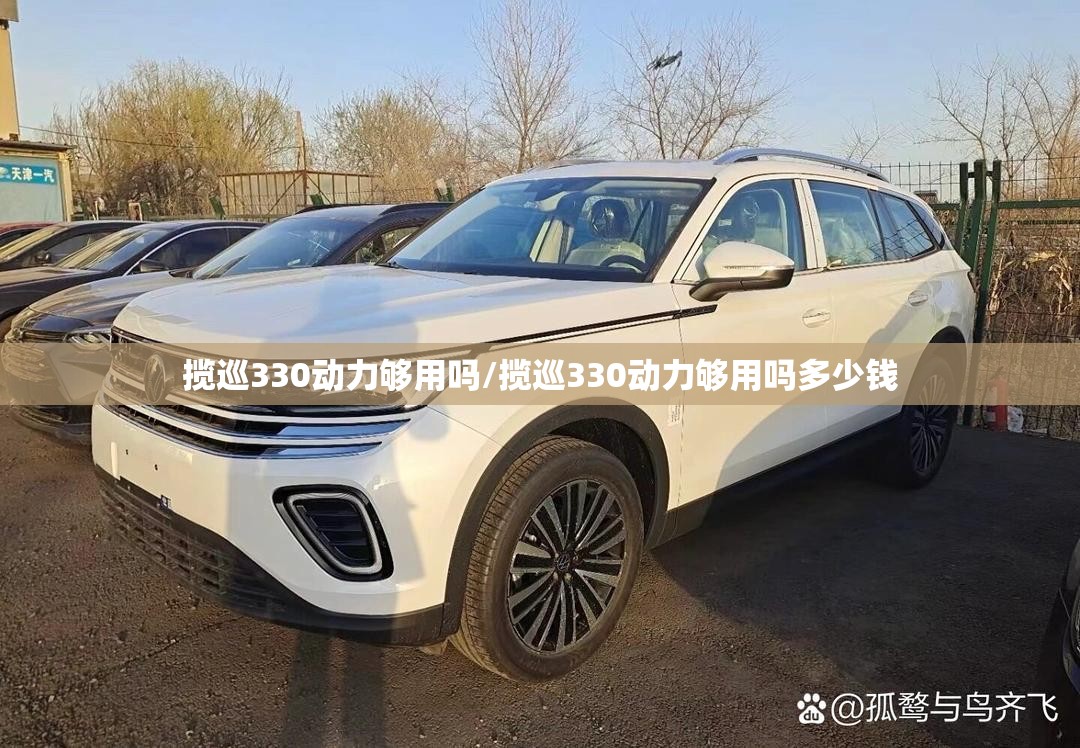 揽巡330动力够用吗/揽巡330动力够用吗多少钱 揽巡330动力够用吗/揽巡330动力够用吗多少钱