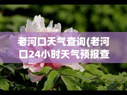 老河口天气查询(老河口24小时夭气预报查询)