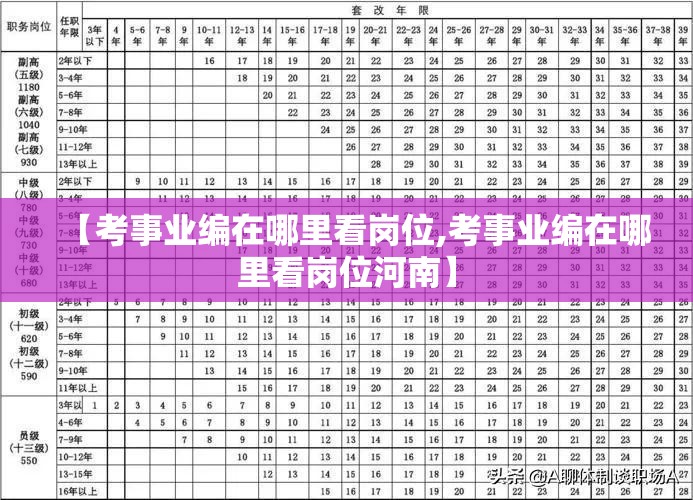 【考事业编在哪里看岗位,考事业编在哪里看岗位河南】