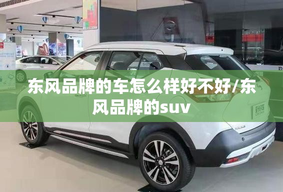 东风品牌的车怎么样好不好/东风品牌的suv