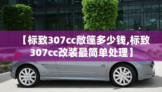 【标致307cc敞篷多少钱,标致307cc改装最简单处理】