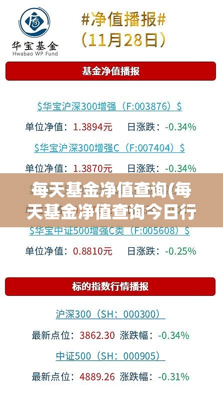 每天基金净值查询(每天基金净值查询今日行情)