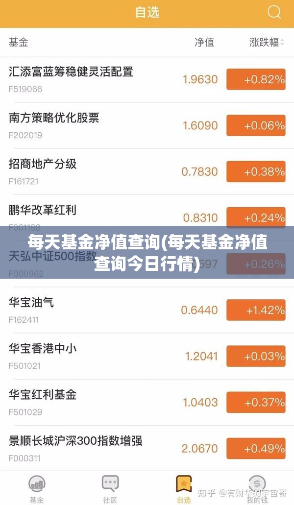 每天基金净值查询(每天基金净值查询今日行情)
