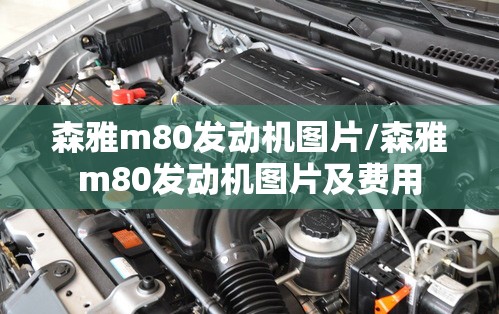 森雅m80发动机图片/森雅m80发动机图片及费用