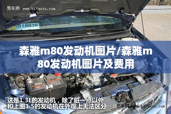 森雅m80发动机图片/森雅m80发动机图片及费用