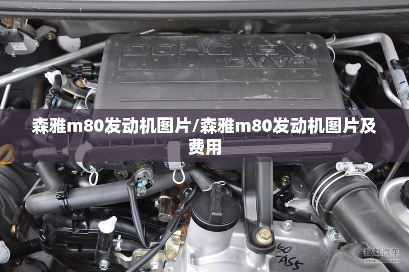 森雅m80发动机图片/森雅m80发动机图片及费用