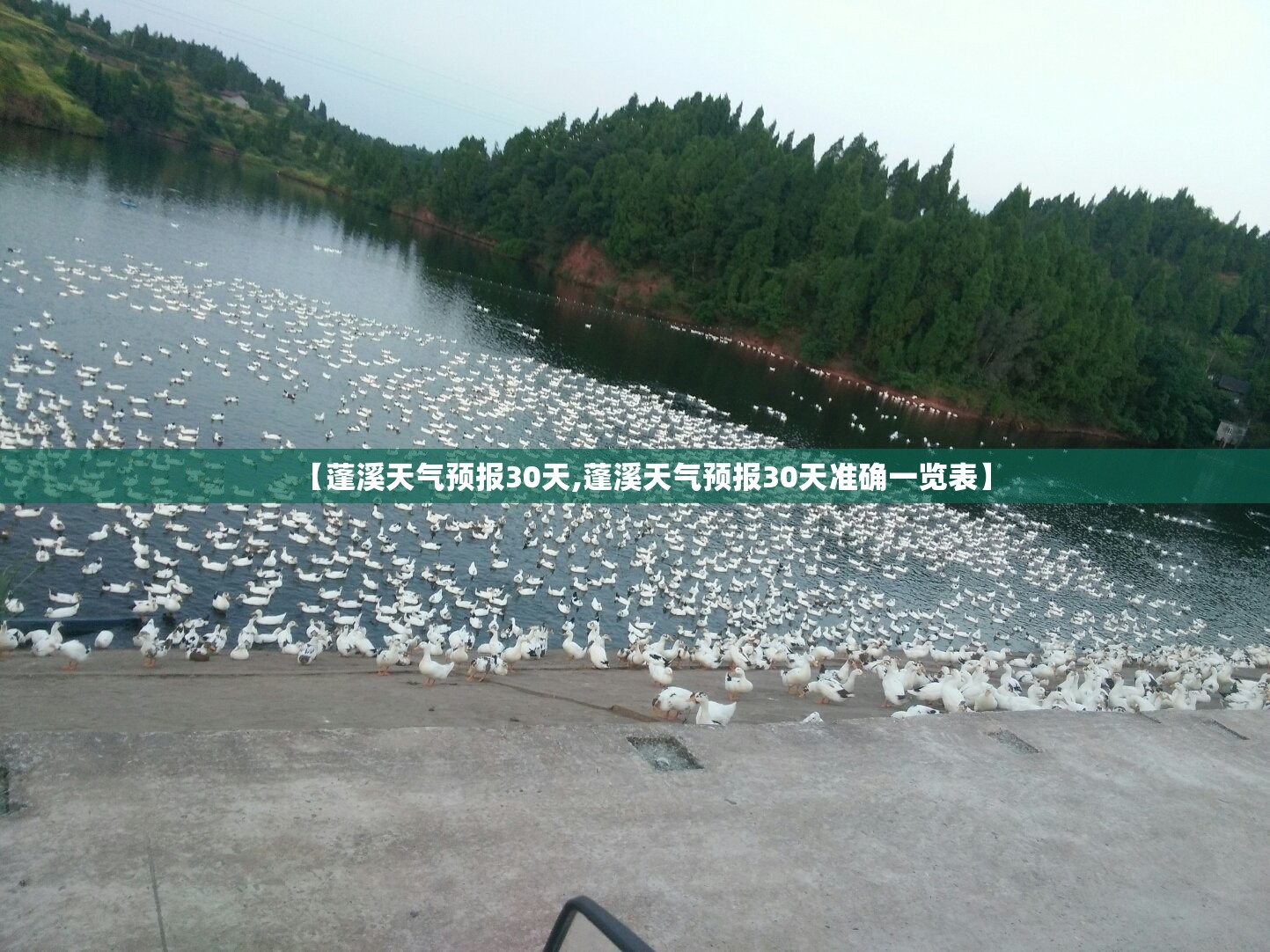 【蓬溪天气预报30天,蓬溪天气预报30天准确一览表】