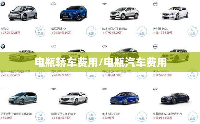 电瓶轿车费用/电瓶汽车费用