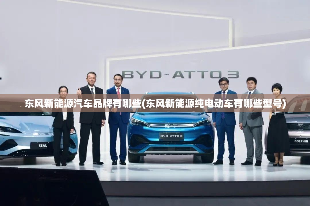 东风新能源汽车品牌有哪些(东风新能源纯电动车有哪些型号)