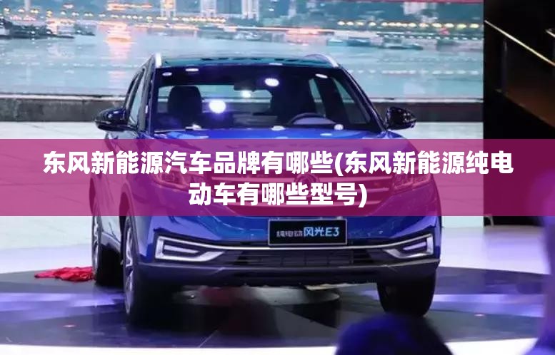 东风新能源汽车品牌有哪些(东风新能源纯电动车有哪些型号)