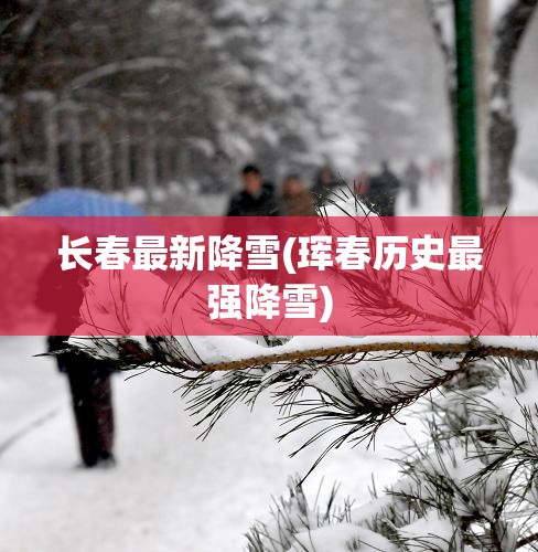 长春最新降雪(珲春历史最强降雪)