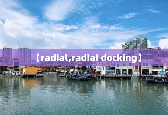 【radial,radial docking】 【radial,radial docking】