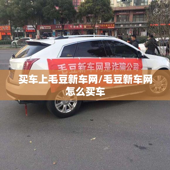 买车上毛豆新车网/毛豆新车网怎么买车