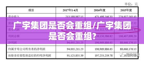 广宇集团是否会重组/广宇集团是否会重组? 广宇集团是否会重组/广宇集团是否会重组?